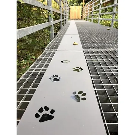 For Your With Your Dog Eisenbach (Ravensburg)